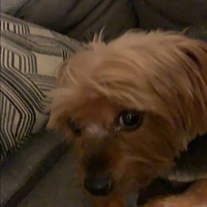 Meet your Posher, Aw